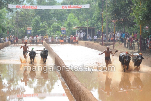 Baradi Beedu Kambala
